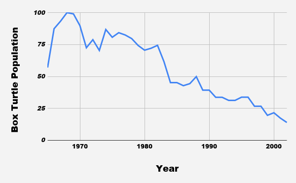 Graph of a box turtle population falling from about 100 turtles in the late 1960s to 14 by 2002