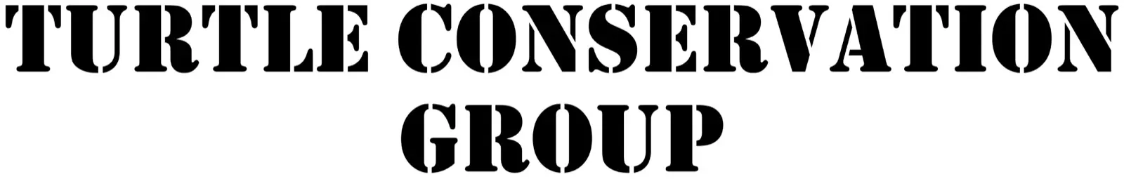 Turtle Conservation Group