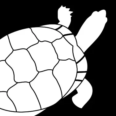 Turtle Conservation Group logo