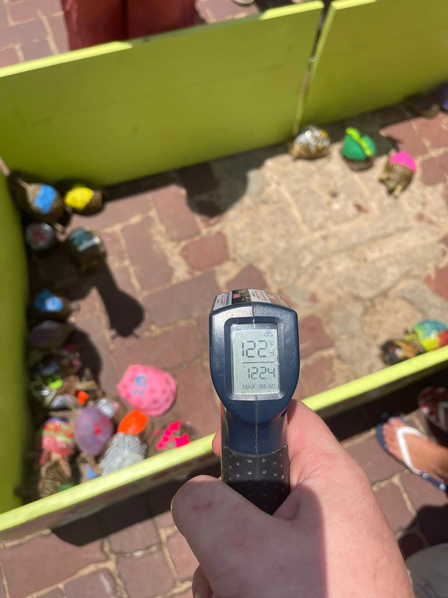 An infrared thermometer measuring the surface temperature of a turtle race track